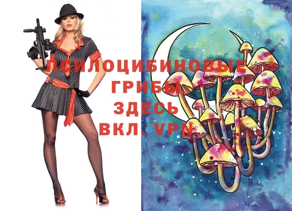 мдма Вяземский