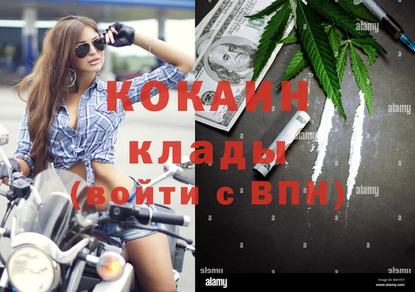 трава Вязьма
