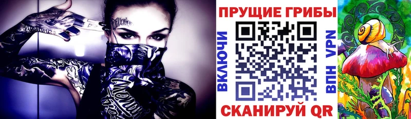 Псилоцибиновые грибы ЛСД  Ядрин 